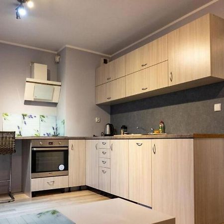 Mini Apartament Cracow / Krakow Z M. Postojowym公寓 外观 照片